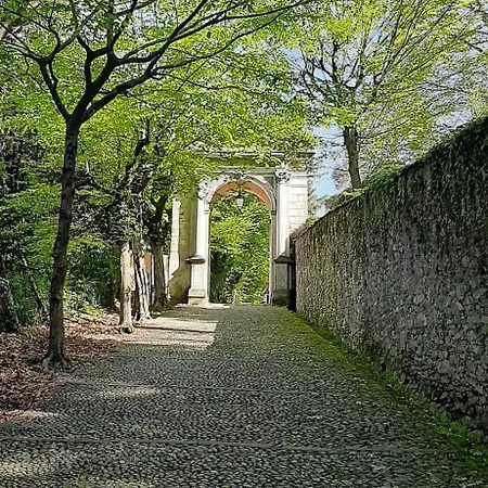 Casamia